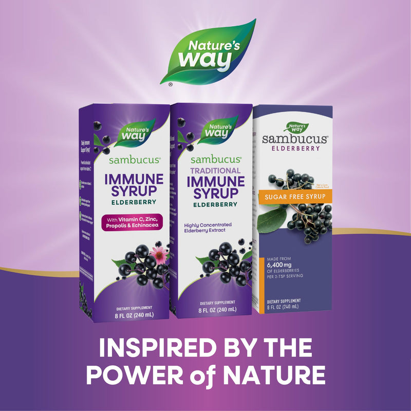 [Australia] - Nature’s Way Sambucus Elderberry Traditional Immune Syrup, Highly Concentrated Black Elderberry Extract, Traditional Immune Support*, Delicious Berry Flavored, 8 Fl Oz (Packaging May Vary) 8 Fl Oz (Pack of 1) 