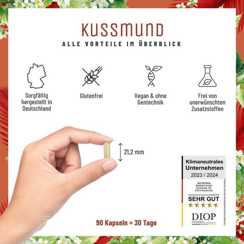 [Australia] - L-Lysine 1000 mg high dose - L-Lysine complex with lemon balm and selenium - High dose L-Lysine capsules - Naturtreu Kussmund vegan & laboratory tested 