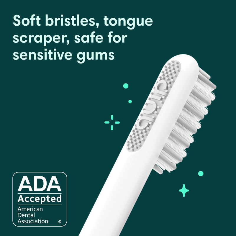 [Australia] - Quip Sonic Electric Toothbrush for Adults - Time Travel & Soft Bristles with Travel Case & Replacement Brush Head - 3 Month Battery Life, Plastic Handle- Lavender 1 Count (Pack of 1) 