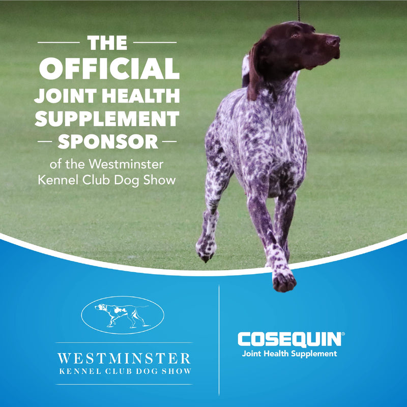 Nutramax Cosequin Standard Strength Joint Health Supplement for Dogs, with Glucosamine and MSM, 75 Chewable Tablets (Pack of 2) 75Count (Pack of 2) - PawsPlanet Australia