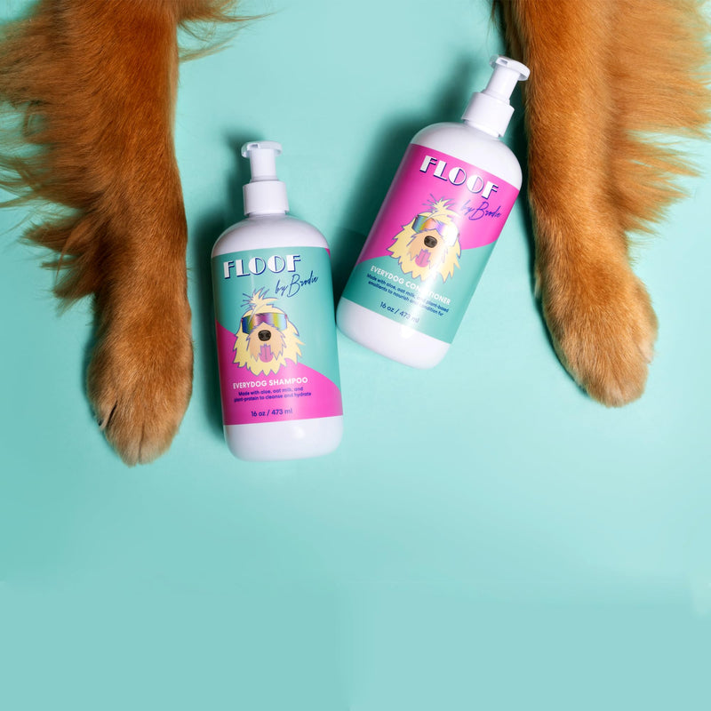 Everydog Nourishing Dog Conditioner for All Coat Types, Detangles, Made with Aloe, Oat Milk, Plant Based Emolients, No Sulfates, No Parabens (16 oz) - PawsPlanet Australia