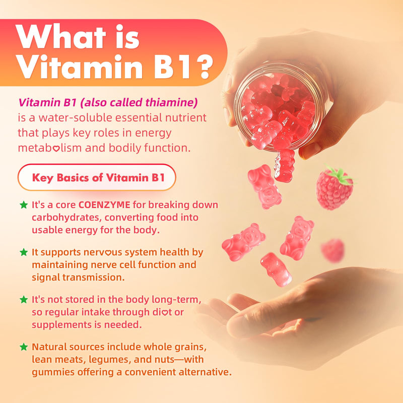 MEENCCD 2 Pack Vitamin B1 Gummies 500mg, Thiamine B1 Supplement Supports Energy Production, B1 Vitamin for Adults & Kids, Sugar-Free, Vegan, Raspberry Flavor, 120 Count 60 Count (Pack of 2)