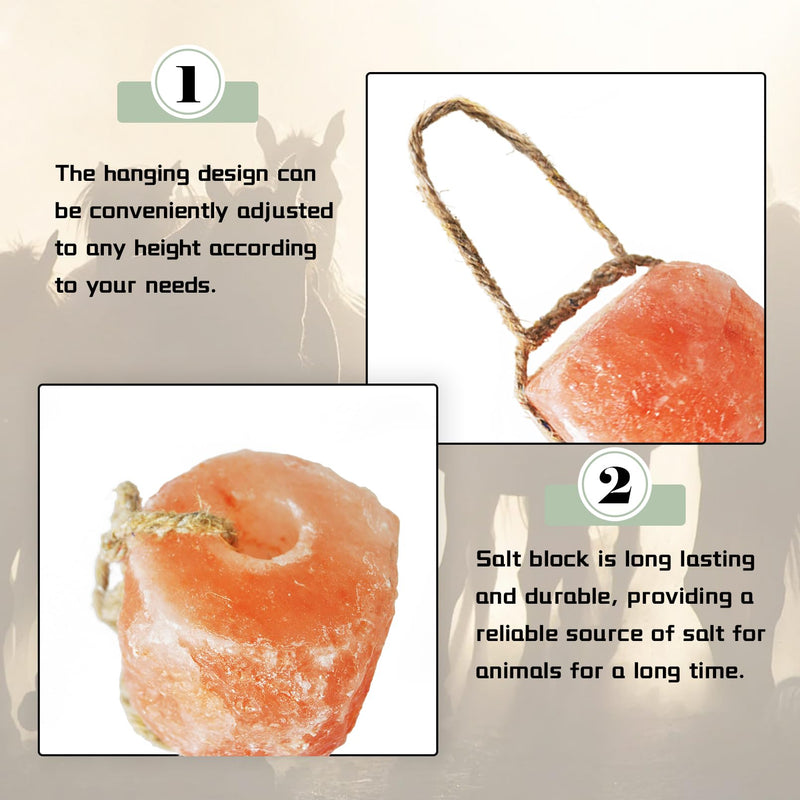 Himalayan Pink Salt Block for Horses,Natural Mineral Salt Block on Rope Himalayan Rock Deer Salt Lick for Horses Deer Cattle Sheep and Other Livestock (1 Pcs,2.4-3.3 lbs) - PawsPlanet Australia