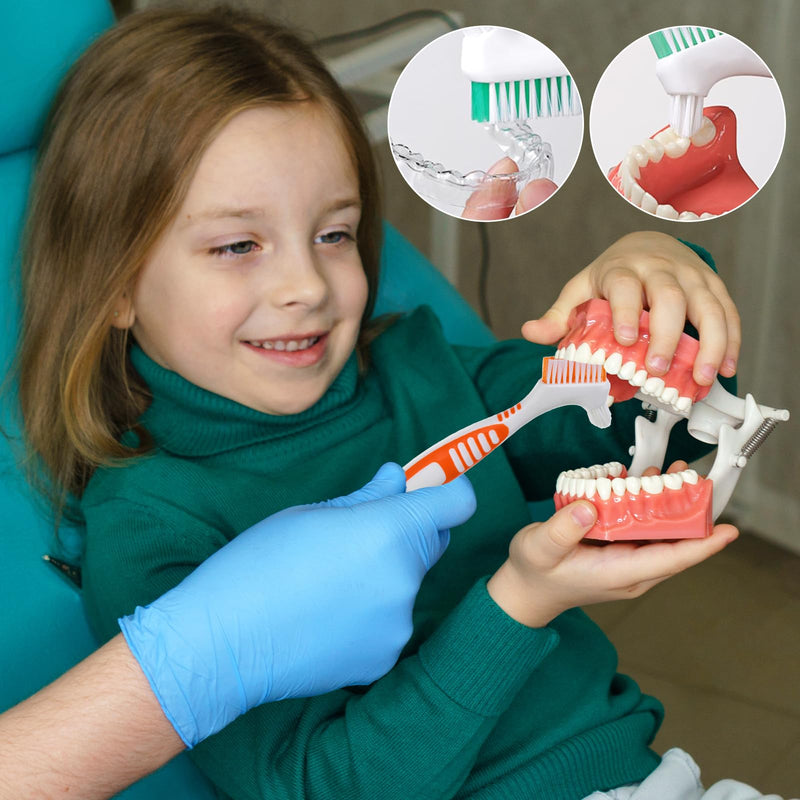 [Australia] - Denture Toothbrush Pack of 4 Toothbrush for Dentures Portable Denture Brush Double Head Multi-Layer Bristles Dentures for Cleaning Dentures (Blue Green Purple Orange) 