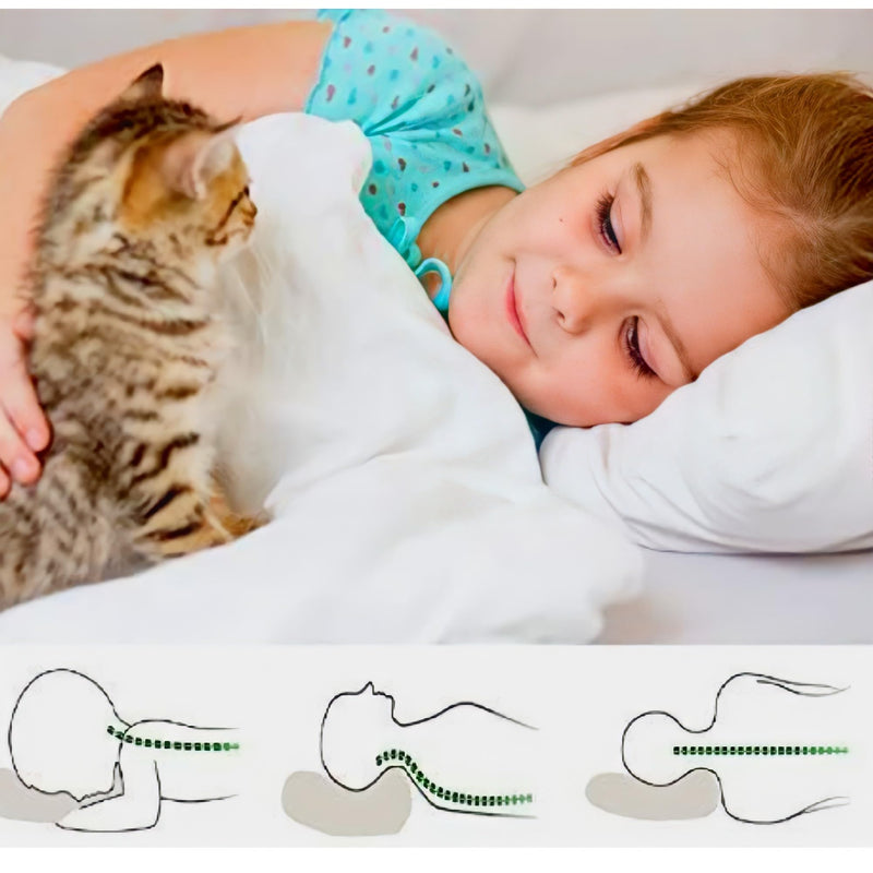 [Australia] - kinder Fluff Toddler Pillow (2X) 14x20in Small Sateen Stripe Pillow 300T Cotton & Down Alternative Fill for Children above 4 14x20in (Pack of 2) White With Sateen Stripes 