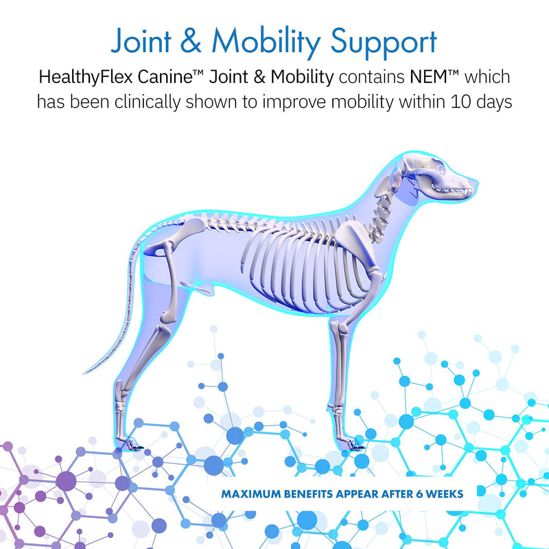 HealthyFlex Canine™ Joint + Mobility Dietary Supplement for Dogs, Natural Eggshell Membrane NEM Formula 120 Servings - PawsPlanet Australia