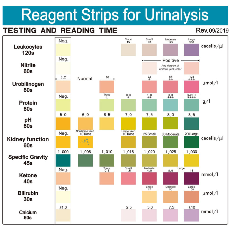 [Australia] - URS 10-in-1 Urine Test Strips 10 Parameters Testing UTI, Urinalysis for Ketosis, pH, Protein, Kidney and Liver Function, 100 CT 