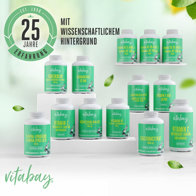 [Australia] - Vitabay Lysine High Dose 800 mg - 365 L-Lysine Tablets Vegan & Laboratory Tested - Essential Amino Acid Lysine Capsules - No Unwanted Additives 365 Pieces (Pack of 1) 