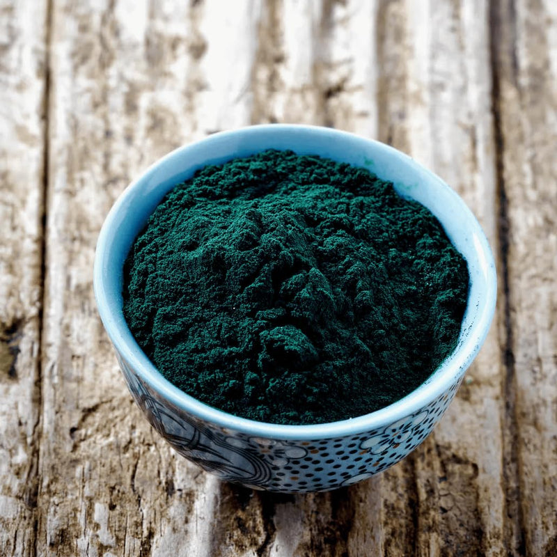 Klamath Lake BioActive Blue-Green Algae JUICE Powder - Wild Harvested (60g) 60 g (Pack of 1)