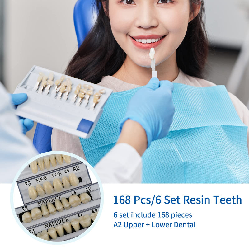 [Australia] - 168 Pieces False Teeth Dental Complete Acrylic Resin Denture Teeth, 6 Sets Whole Teeth Synthetic Polymer Denture Tooth, 23 Shade A2 Upper + Lower Dental Materials for Replacement, DIY, or Halloween 
