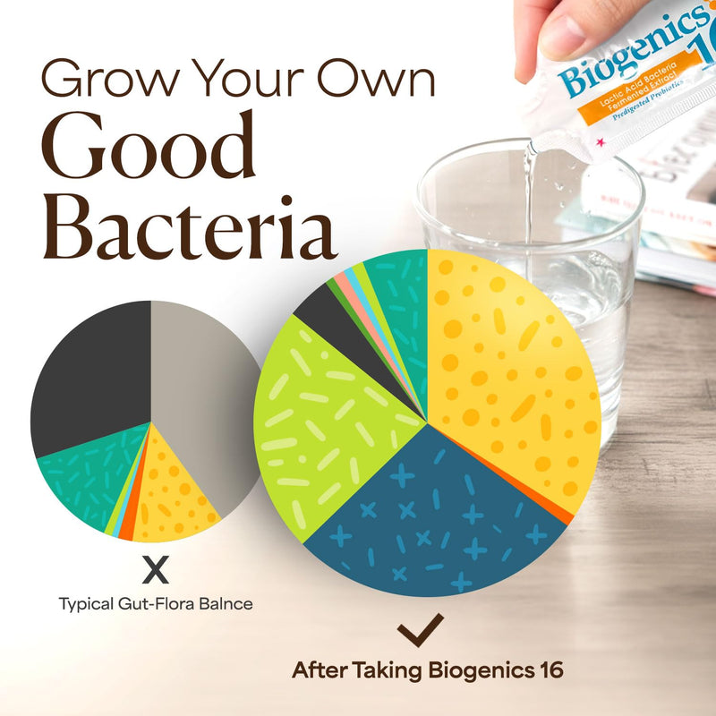 LABO Nutrition Biogenics 16–Lactic Acid Bacteria Fermented Extract, 1000x More Effective, Gut Health Support Beyond Probiotics & Prebiotics, Improve Intestinal Skin and Immune Health, 10mlx15 sachets