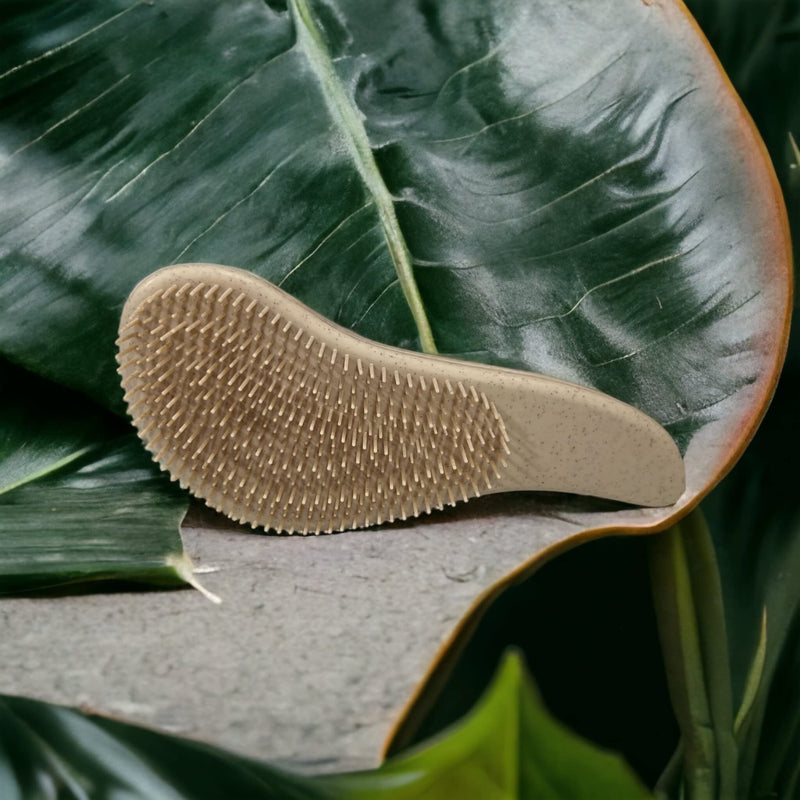 [Australia] - Eco-Friendly Detangler Brush w/Scalp Massager| Anit-Knot for Smooth & Frizz-Free Hair| Wet & Dry Scalp Exfoliator w/Soft Silicone Bristles| Dandruff Removal & Hair Growth (KHAKI) Khaki 