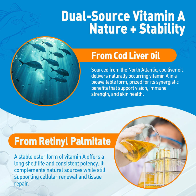[Australia] - Vitamin A Gummies, 25000IU Vitamin A Supplement from Retinyl Palmitate & Fish Liver Oil, with Coconut Oil for High Absorption, Vision, Skin & Immune Health, Sugar-Free, Non-GMO, 60 Servings 