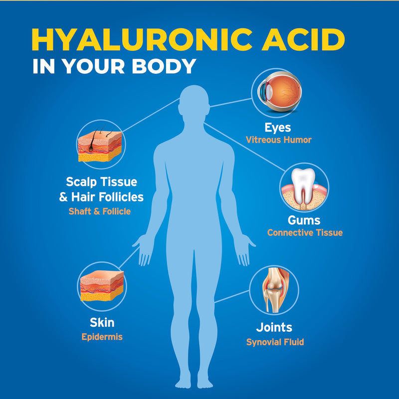 [Australia] - Hyalogic Synthovial Seven - Oral Hyaluronic Acid Supplement 1oz - Liquid HA Supports Skin, Joint, Eye, and Lip Hydration - Vegan, Gluten Free 1 Ounce Standard Packaging 