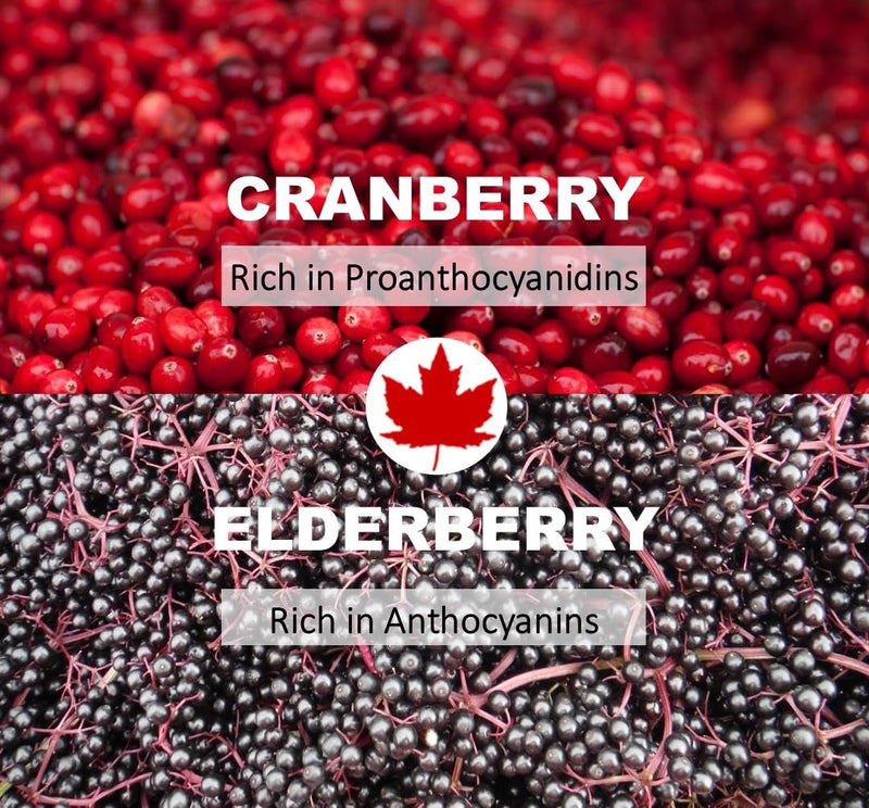 Urinary Health. Cranberry & Elderberry Concentrate. Fruits from Canada. Natural Antioxidant. Delicious Taste. 5 ml/Day 1 bottle