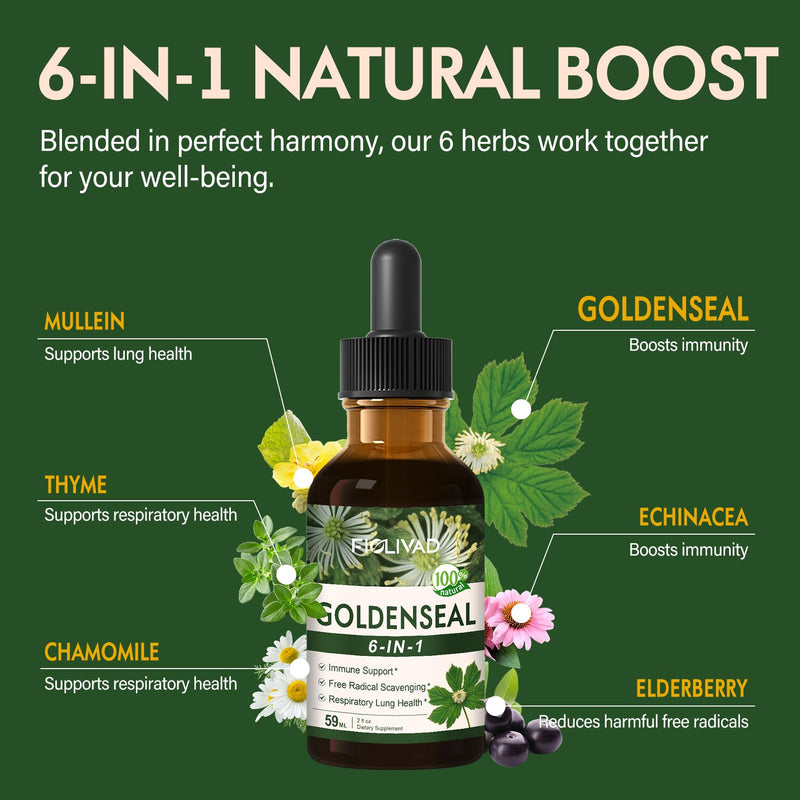 [Australia] - Goldenseal Root Extract Liquid Drop, 6-in-1 Formula for Immune and Respiratory Lung Health Support, Goldenseal Supplement with Echinacea Golden Seal, Mullein Thyme. Fast Absorption. 2oz Original 2 Fl Oz (Pack of 1) 