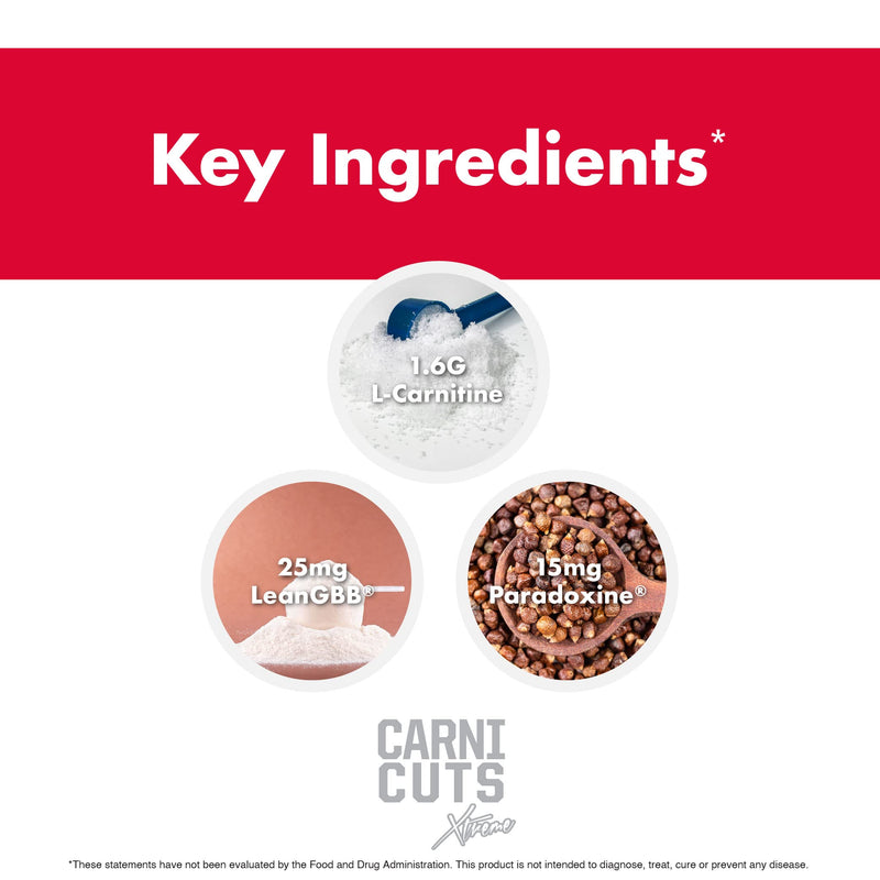 [Australia] - NutraOne Carnicuts Xtreme, L-Carnitine Liquid Supplement Stimulant Free (Pineapple - 31 Servings)* 