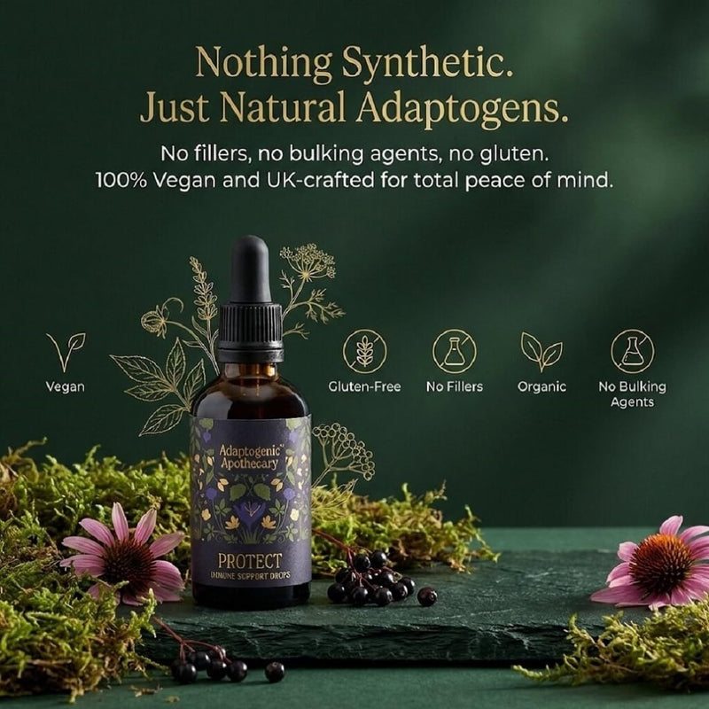 Protect – Seasonal Botanical Glycerite Drops with Elderberry, Holy Basil, Maitake, Olive Leaf & Ginger | Alcohol-Free | 50ml, 25 Servings | UK-Made, Vegan