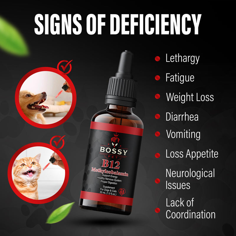 Vitamin B12 for Dogs & Cats - Liquid Supplement for Dogs & Cats - Vet-Formulated Methylcobalamin Drops - Supports Energy, Nerve Function & Appetite - Fast-Absorption- Easy to Administer.