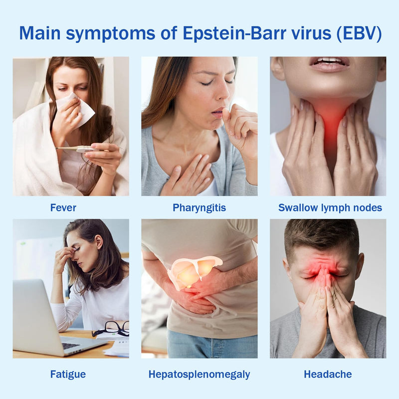 Epstein Barr (EBV) At-Home Test Kit ， Detects IgG Response to VCA & EBNA ，15-Minute Rapid Result,Highly Accurate & Easy to Read Home Testing Kit