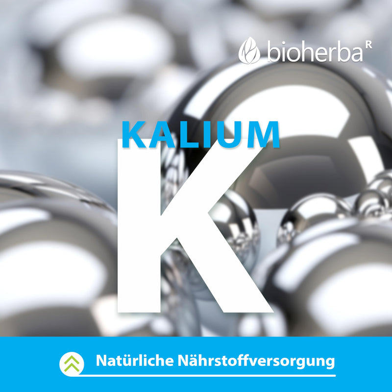 [Australia] - High-dose potassium - 260 mg potassium citrate per capsule, 100 capsules from BIOHERBA for optimal electrolyte balance and natural vitality 