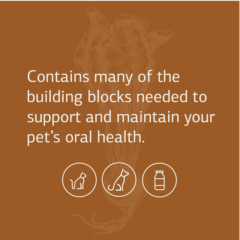 Standard Process VF Bio-Dent for Pets - Bone Growth & Healthy Tissue Support Pet Supplement - Overall Mouth Health Support Supplement - Nutritional Supplement for Cats & Dogs - 90 Tablets - PawsPlanet Australia