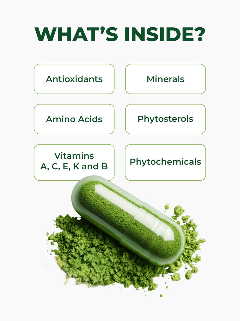 [Australia] - PURA VIDA MORINGA Capsules Single Origin Moringa Powder Organic. Pure Moringa Leaf. Energy, Metabolism, & Immune Support. 120ct. 500mg Caps. 120 Count (Pack of 1) 