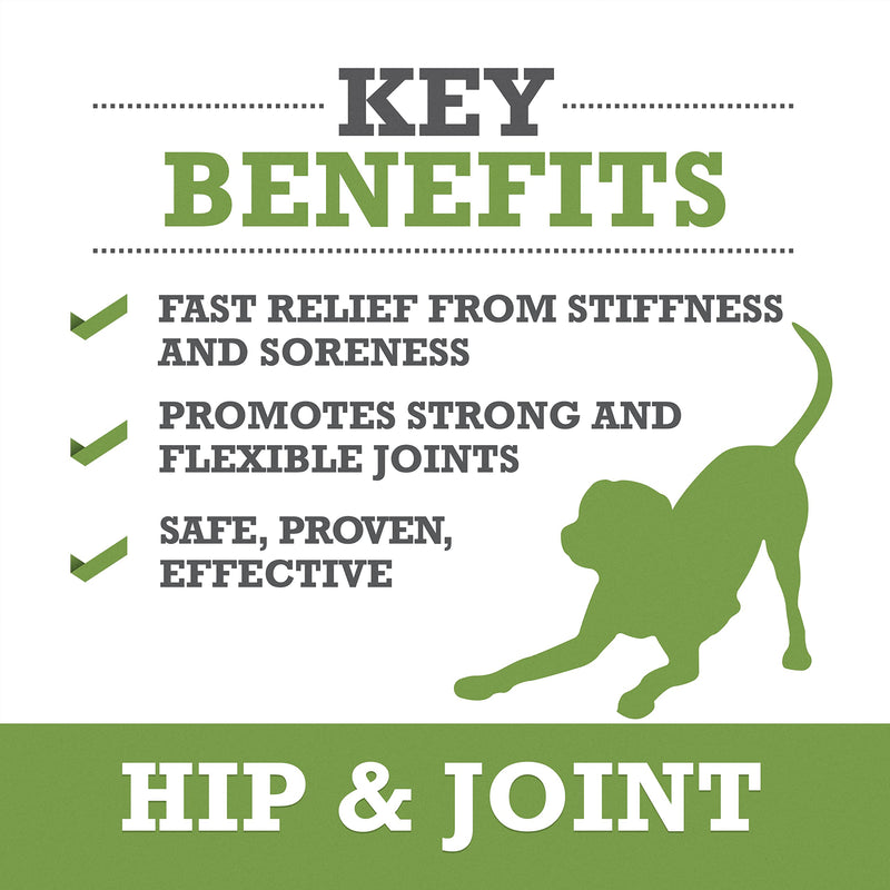 WINPRO | Dog Hip and Joint Supplement, Plasma-Powered Chews for Joint Support in Dogs of All Breeds and Sizes, Fast Acting with Collagen, 60 Count, Made in USA - PawsPlanet Australia