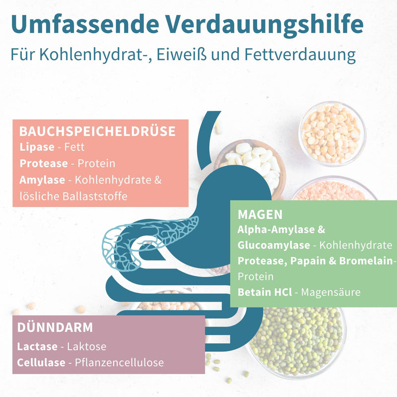 [Australia] - Digestive enzyme complex with betaine HCl & bromelain, 10 vegan enzymes with papain & lipase, comprehensive digestive aid, hypoallergenic, 90 capsules, from Igennus 