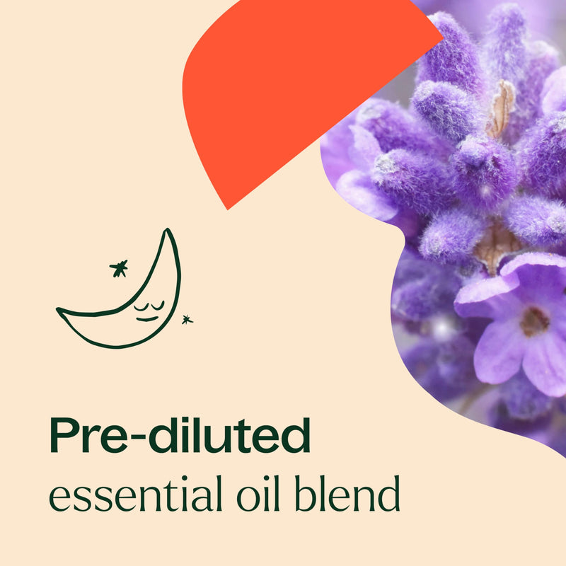 [Australia] - Plant Therapy KidSafe Nighty Night Essential Oil Blend for Sleep 10 mL (1/3 oz) Pre-Diluted Roll-On 100% Pure, Natural Aromatherapy, Therapeutic Grade 0.33 Fl Oz (Pack of 1) 