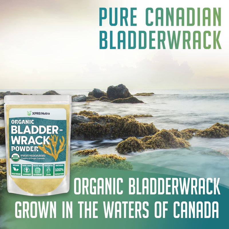 [Australia] - XPRS Nutra Organic Bladderwrack Powder (Fucus Vesiculosus) - Premium Bladderwrack Organic Powder for Glowing Skin - Vegan Friendly Bladderwrack Herb Iodine Supplement (4 Ounce) 4 Ounce (Pack of 1) 