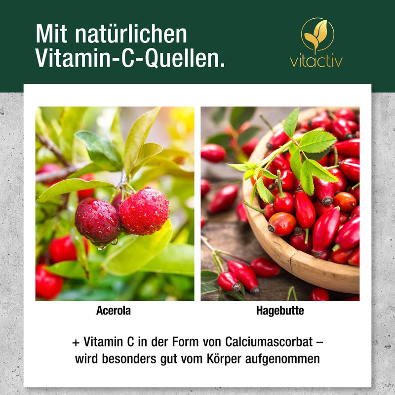 [Australia] - VITACTIV Vitamin C Complex + Acerola - Vitamin C High Dose 1000mg & Time Released - Vitamins from Acerola Cherry, Rose Hip, Alfalfa plus Citrus Bioflavonoids - Laboratory Tested, Vegan, 100 Tablets 