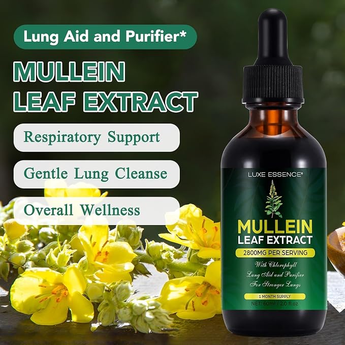 Mullein Drops for Lungs 300,000‬mg, Lung Detox & Cleanse, 16 in 1 Vegan Mullein Leaf Extract Tincture with Chlorophyll, Elderberry, etc, Natural Herbal Supplement for Respiratory, Immune, 30 Servings Natural Flavor 2 Fl Oz (Pack of 1)