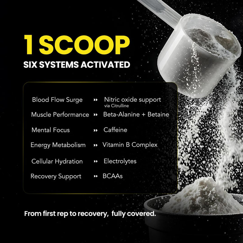Six Stack Precision Pre Workout & Recovery – 4000mg Citrulline Malate, 3200mg Beta Alanine, 2000mg BCAA 2:1:1, 200mg Caffeine, 850mg Premium Electrolytes, B Vitamins, 40 Servings