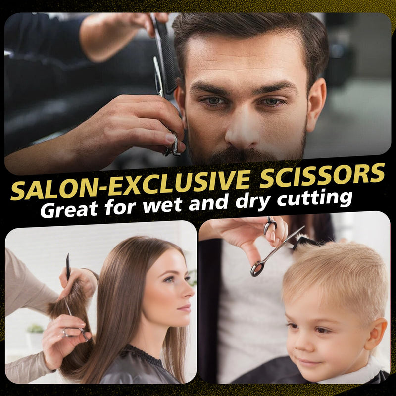 6 Inch Professional Hair Cutting Scissors – Japanese VG10 Stainless Steel, Extremely Sharp Convex Blade with Ergonomic Handle, Adjustment Screw, Barber Shears for Barbers and Salon Professionals