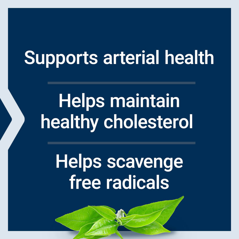 Life Extension Theaflavin Standardized Extract – Tea Leaf Flavonoids, Arterial Health Support, Helps Maintain Already-Heathy Cholesterol – Gluten-Free, Non-GMO, Vegetarian – 30 Capsules Standard Packaging