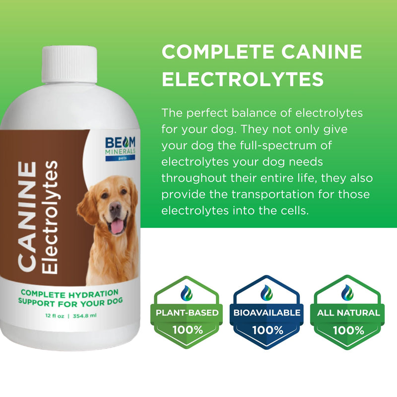 Beam Minerals Complete Canine Electrolytes | Full-Spectrum Electrolytes for Dogs | 12 Fl Oz - PawsPlanet Australia