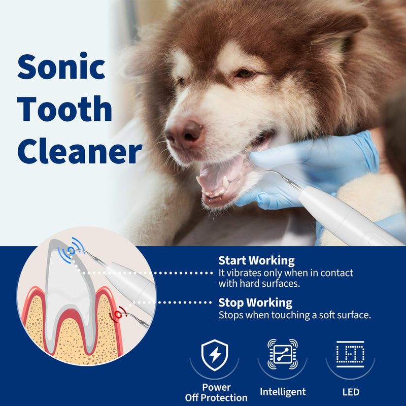 [Australia] - Dog Plaque Remover - Pet Sonic Teeth Cleaner with LED Light -Teeth Cleaning Kit for Tartar and Stains -Suitable for Dogs（White） White 