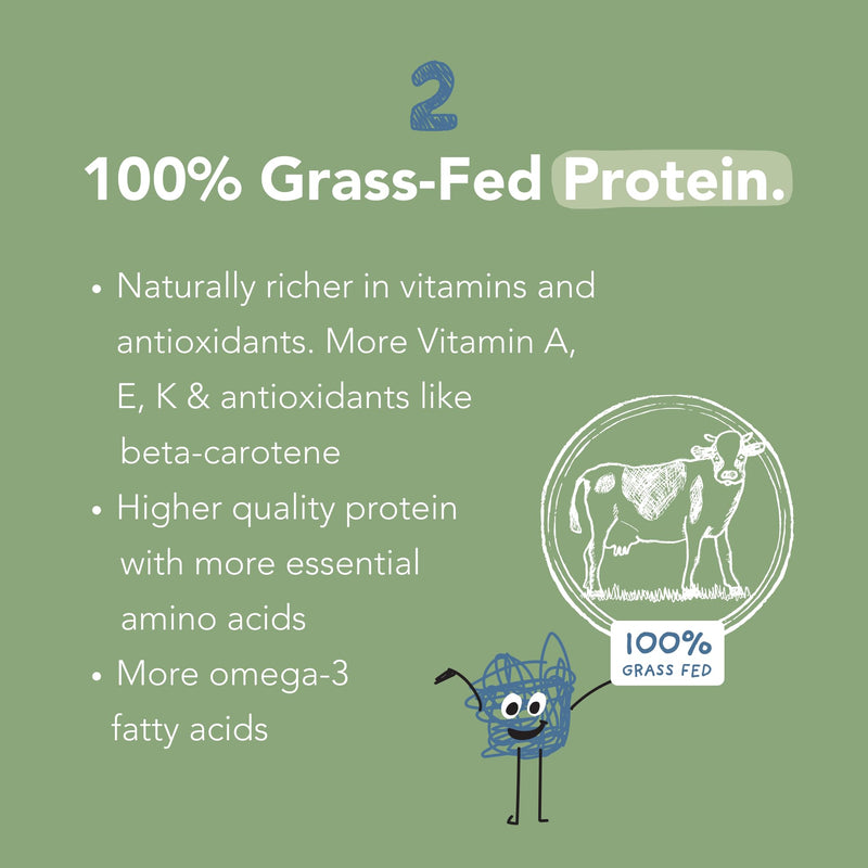Mighty Chocolate Milk - Kids Daily Protein Powder Boosted with 2 Billion Probiotics and Organic Spinach Leaves - Natural Flavors Colors and Sweeteners - 15-30 Servings