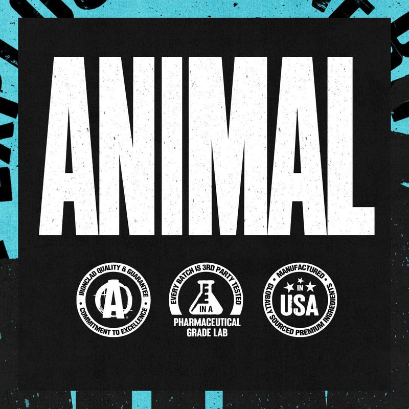 [Australia] - Animal Juiced Amino Acids - BCAA Powder EAA Matrix Plus Hydration with Electrolytes and Sea Salt Anytime Recovery and Improved Performance, Orange Flavor, 30 Servings 