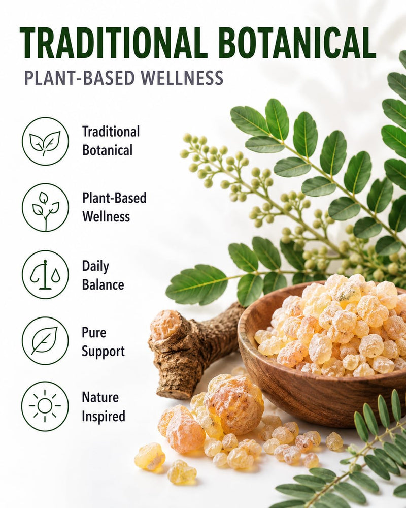 Hepatica Boswellia Serrata (Indian Frankincense) 5,000mg Equivalent | 500mg 10:1 Extract | 65% Boswellic Acids | 120 Vegan Capsules | 3rd Party Lab Tested