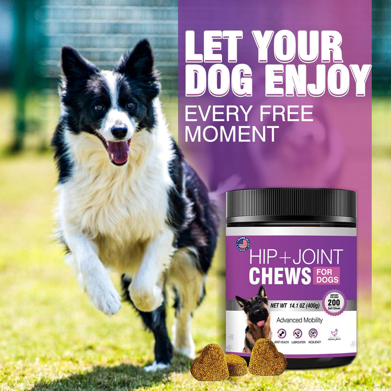 Glucosamine for Dogs 200pcs Joint Support Supplement Dog Hip and Joint Chondroitin Chews Treats with MSM Hemp Dog Joint Pain Relief Mobility Supplements Chicken Flavor Fit All Large Small Medium Breed - PawsPlanet Australia