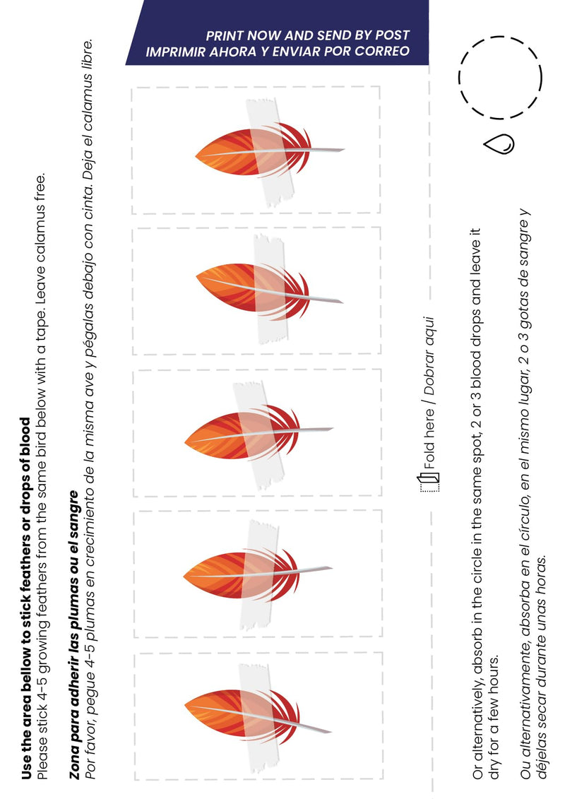 Bird Sexing DNA. Gender Reveal Test for Parrots, Lovebirds, Cockatoos, African Grey,Macaw, Cockatiels, Parakeets, Eagles, Owls + 1000 Species. Avian Sexing DNA Testing. Sample Collection Kit included - PawsPlanet Australia