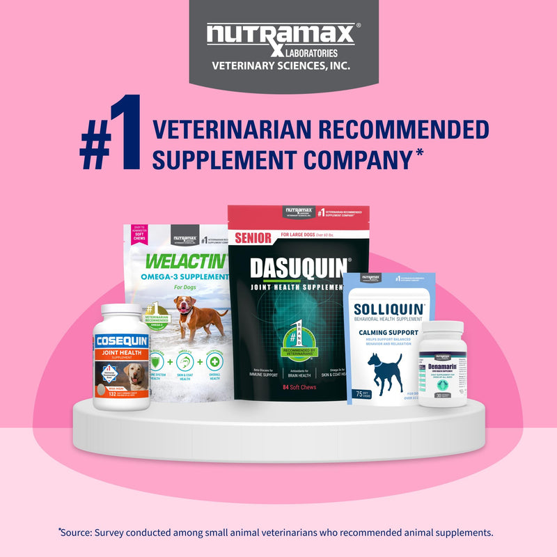 Nutramax Proviable Probiotics + Prebiotics, for Dogs & Cats, Capsules, 80ct | Probiotics and Prebiotics for Cats and Dogs, Daily Gut Health Support Supplement, Multiple Strains, Sprinkle on Food 80 Count