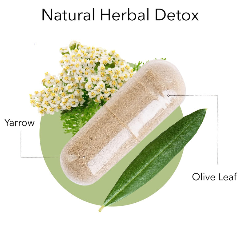[Australia] - Kroeger Herbs, Olive Leaf Extract Capsules for Immune System, Olive Leaf & Yarrow Supplement, Vegetarian, Non-GMO, Gluten Free, No Preservatives - 100 Capsules, Made in USA 