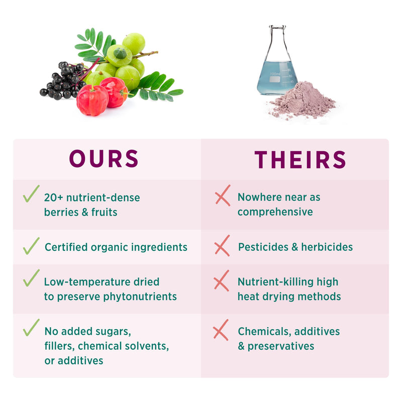 [Australia] - PURE SYNERGY Berry Power | Organic Berry and Fruit Powder | Antioxidant Supplement with Organic Acai, Camu Camu, and Wild Blueberry | for Healthy Aging, Immune, and Skin Support (5.3 oz Powder) 5.3 Ounce (Pack of 1) 