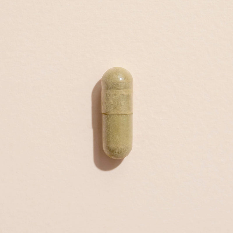 [Australia] - Plant Therapy Holy Basil Herbal Supplement Capsules, Supports Emotional Stability & Positive Mood, Combats Fatigue & Mental Tension, 120 Vegetarian Capsules 