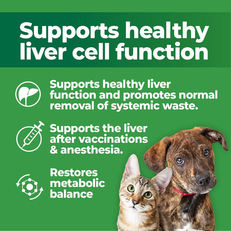 Animal Essentials Milk Thistle Liver Support for Dogs and Cats, 30 Capsules - Made in USA Liver Supplement - PawsPlanet Australia