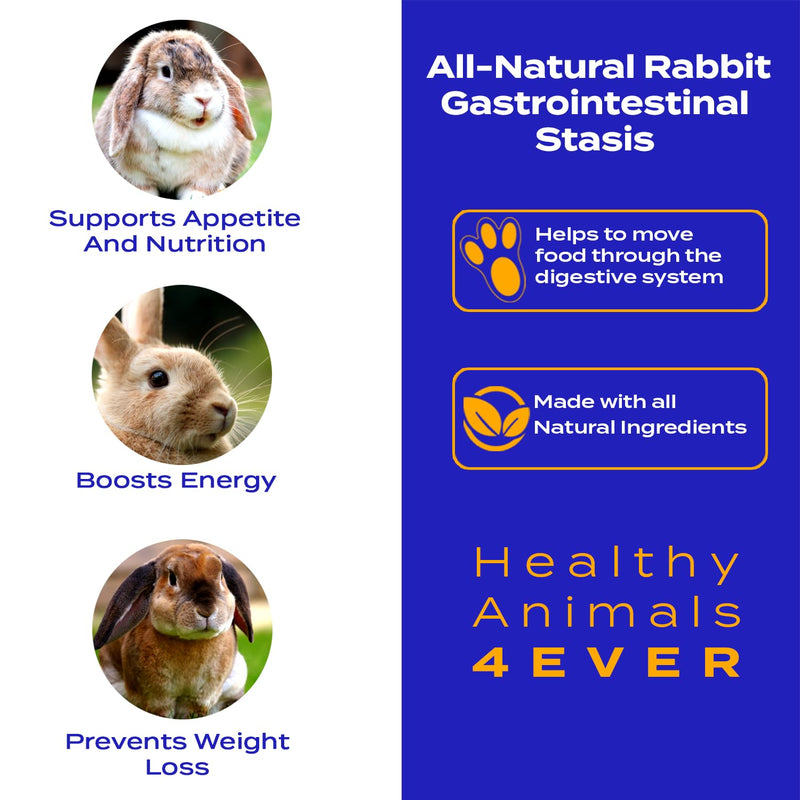 Healthy Animals 4Ever All-Natural Rabbit Gastrointestinal Stasis Treatment | Effective Homeopathic Support for GI Stasis - Promotes Healthy Digestion Rabbit Digestive Health Tablets | 300 Count - PawsPlanet Australia