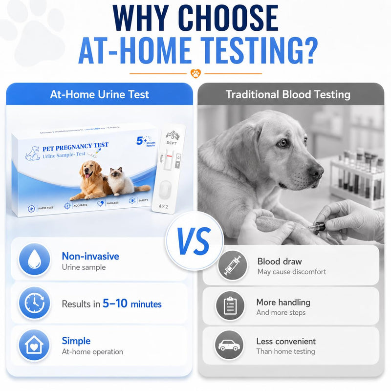 At-Home Dog & Cat Pregnancy Test Kit – Urine-Based Early Detection, Fast 5-Min Results, 98.9% Accurate, Non-Invasive & Stress-Free for Pets 1 Pack